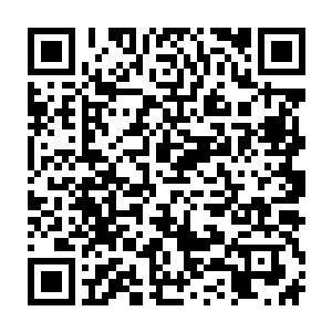 霍君白的那一记由火字诀召出的火焰手掌已经出其不意的拍在那巨猿后背之上二维码生成