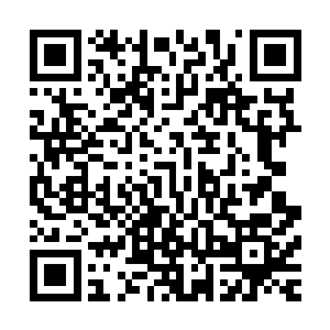 霍君白见周遭一排武器架上的兵器大多都摆放的武器各色各样二维码生成