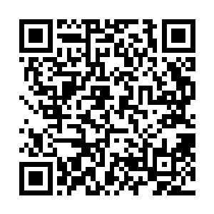 霍西学院乘坐的妮娜号则是军队中普遍使用的大型运输舰二维码生成