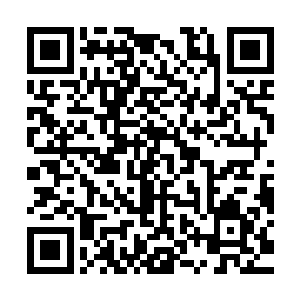 露在外面的毛腿上面跟王婉柔和大红一样布满了大大小小的齿印二维码生成