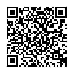 露在外面的皮肤被这股带着杀气的气流刮得一根根汗毛都颤栗着二维码生成
