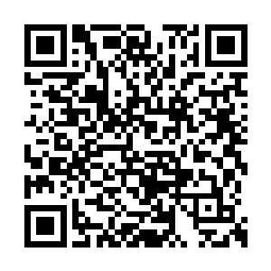 霸刀门的几名太上长老可不会冲上去与他们硬拼二维码生成