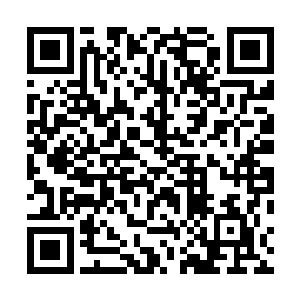 青云熟练的用结实的草藤把石马的两个蹄子捆好然后上药二维码生成