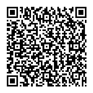 青冥鬼族的三大鬼王和千邪教的几位长老以及十万大山深处的妖王在外面联手布下了层层防御二维码生成