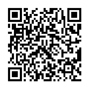 青木天牛的攻击手段还不是一般的奇特……没有了主场优势二维码生成