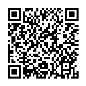 青灵一族的人可以通过某种特殊的术法借用青玄玉的力量二维码生成