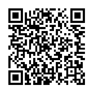 青青……你不要跑……我会温柔的……青青……二维码生成