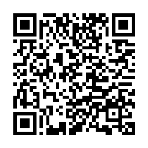 青青野草下的黑色土壤完全是被不同种族生命的鲜血浇灌而成二维码生成