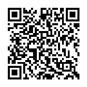 青鸟界主和洪鸿界主各自站在自己镇守的星域中二维码生成