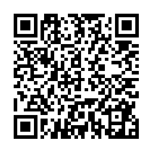 青鸟界主的视线很快就被附近的一大片树木给吸引了过去二维码生成