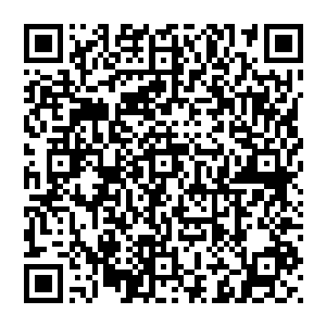 靠在洛水嫣和苏媛媛最近的两名潜龙战队的成员则是扶这两人快速的朝着门口早就已经准备好的车辆而去二维码生成