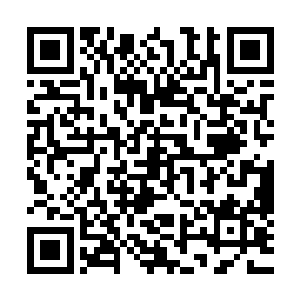 靠近身体的木棍处那一细条细密的黄色便出现在大家的视线中二维码生成
