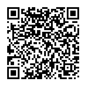 韦杨鸿和闻凡凯今天这么贸然的来找自己肯定有着不可告人的目的二维码生成