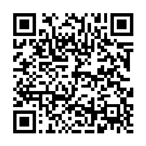 韩企先等人终于做出了几十万人有条不紊的联动作战二维码生成