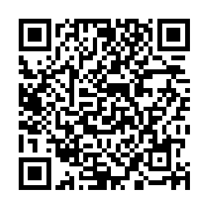 韩国方面的演员还是用他们的敬业精神获取了中方的好感二维码生成