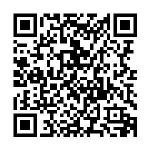 韩琦颌下的长须无风自动一张黑红的老脸彻底看不出任何表情二维码生成