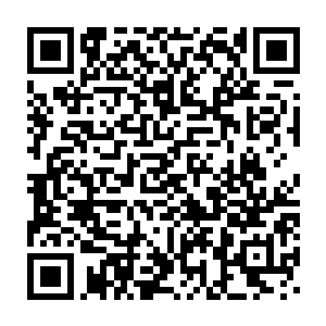 韩风附近刚刚散去的圣力在金色光芒不断的轰击之下硬生生的被轰散二维码生成