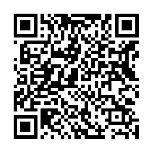 顶住巨大压力的叶秋做出一个让叶伯和叶天同时错愕的事儿二维码生成