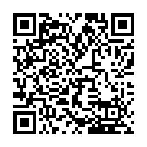 顶着一张既兴奋又带着娇羞的脸往凤羽珩那边蹭了过去二维码生成