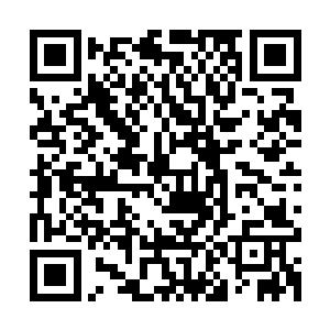 顷刻之间那朝着我抓来的巨大鬼手瞬间被一股庞大的力量震开在二维码生成