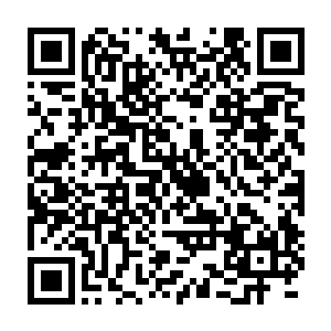 顺便盯着穿着女仆装认真擦玻璃的此世最强存在……反正时间不多了二维码生成