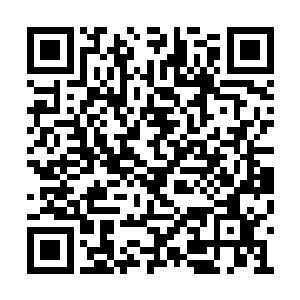 顺便让他们知道这个世界已经不是以前的世界了二维码生成
