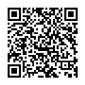 顺带提醒闻春意要趁着距离过年还早菜价便宜存放菜蔬在家里二维码生成