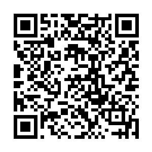 顺手把已经靠在自己左肩上快睡着的周佳也给拽了起来二维码生成