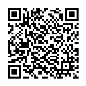 顾倾欢索性直接就圆了下第一个理由稍微抵挡一下二维码生成