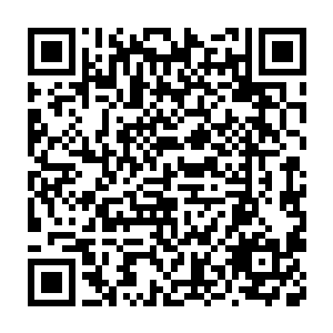 顾恒手下一个融合了龙血妖灵的天转境强者跟天行盟的强者战成了一团二维码生成