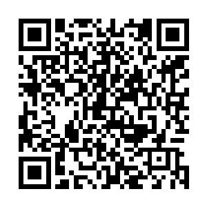 顾瑜轩素日里和萧衍并无往来……萧衍的官阶又位于他之上二维码生成