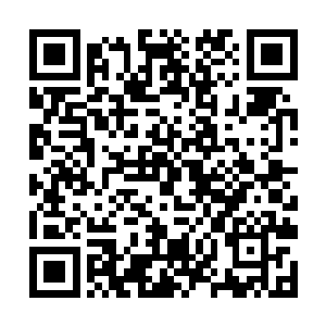 顿时一圈圈的特殊能量仿佛水波一样透过白昊的双手二维码生成