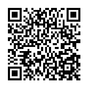 顿时一大堆的各种各样的材料也全都出现在了龙傲天的识海之中二维码生成