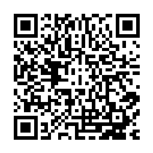 顿时一朵花就出现在了他的手中了……这是一株通体雪白的花二维码生成