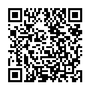 顿时一根差不多有半米多长的金色羽毛出现在李锐的手里二维码生成