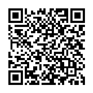 顿时就发现他们当前所在的位置正好是发动野蛮冲撞的最佳位置二维码生成