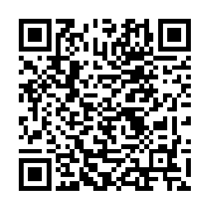 顿时就见到这些箭头根本就对它造成不了任何的伤害二维码生成