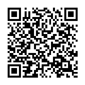 顿时惊动了待战区中一位刚刚结束上一架机甲监测的工作人员二维码生成