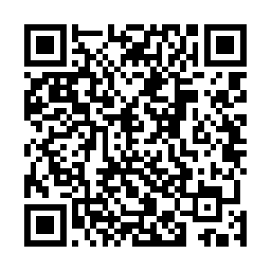 顿时拍卖师双手拖着一卷古朴的散发出诡异的符文的地图二维码生成
