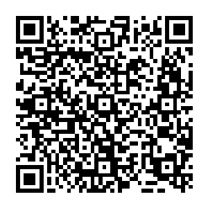 顿时整个人的元神也直接被一股无比浓郁的充满了清凉和生机的碧绿色的光芒笼罩了起来二维码生成