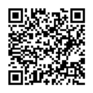 顿时有一股股精纯至极的能量从他们指尖迸射而出二维码生成