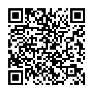 顿然看到原来她这边还算空置的区域差不多满满当当坐了人二维码生成
