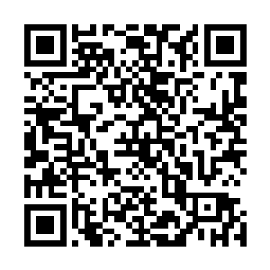 颜洛儿没有管之前易红仙人他们教的那些弯弯绕绕的客气话二维码生成