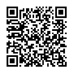 风天翔到目前为止都还不会什么精神力攻击方法二维码生成