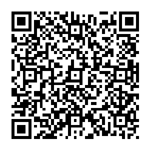 风清扬再次笑道 接着意念一动 那大山刹那间消失不见 似乎从來不曾出现一般二维码生成