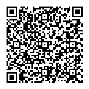 风清扬平静的开口 看着他 准确的说是看着自己 但他的目光是那样的平静 甚至沒有一点波澜二维码生成