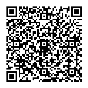 风清扬手掌一伸 就见小龙女极为不客气的伸出爪子 一把将金丹抓在手中 满脸放光 可爱万分二维码生成