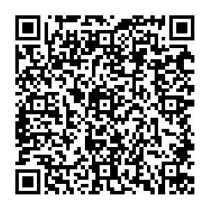 风清扬的声音 忽然之间充满了疲惫 这一瞬 他想到了很多 想到了自己似乎就是僵尸 人人喊打喊杀的僵尸二维码生成
