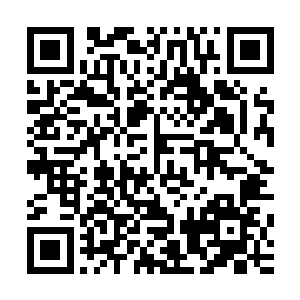 风的玄妙……风的感触……风的领悟……一点点的加深了……二维码生成