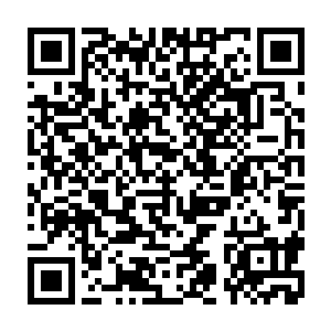 风铃跟着两位女官还有包括菡薇和蒂心在内的三位嫦娥站在广寒宫宫门口二维码生成